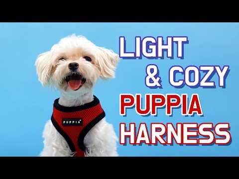 Puppia Elliott Harness A Grå / Grey