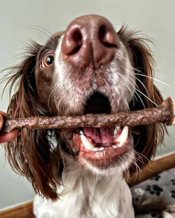 JR Pure Lamb Sticks 50g