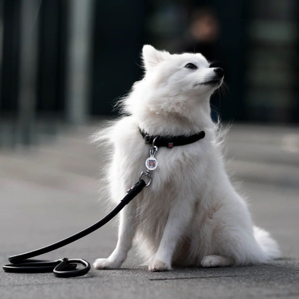Collar Rundsydd Halsbånd "Waudog Soft" enkel Sort