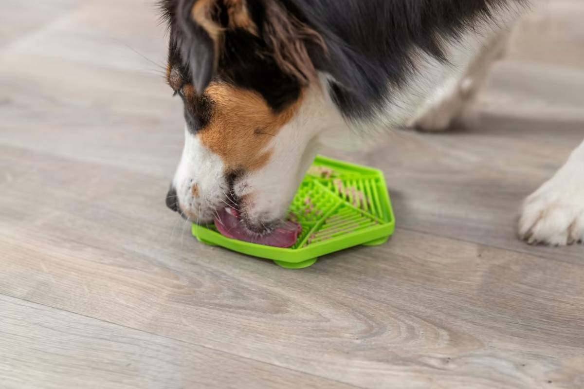 Trixie Lick`n`Snack Matte Silikon 17cm