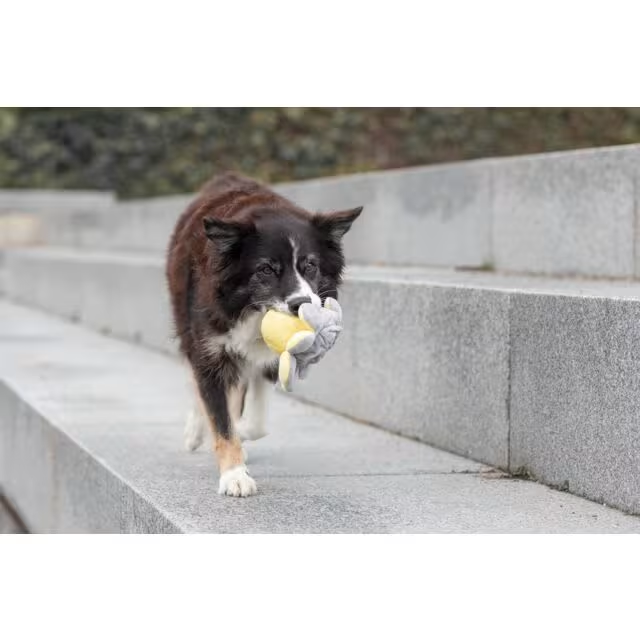 Trixie Blekksprut i Plysj 19cm Kan Vrenges