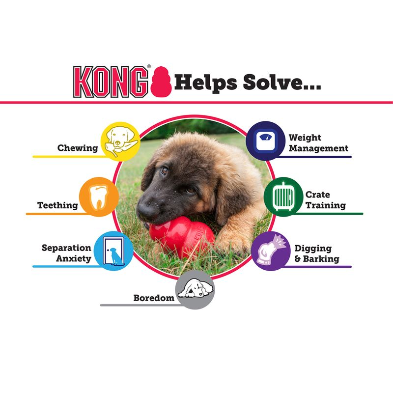 KONG Orginal L