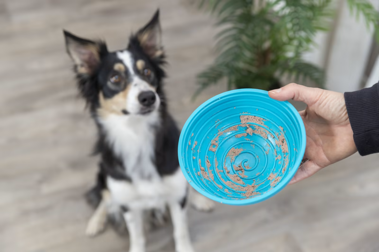Trixie Lick`n`Snack Ø16cm Silikon