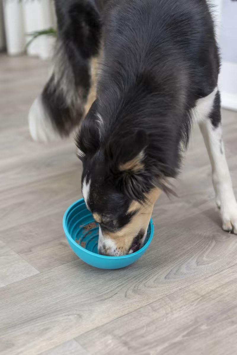 Trixie Lick`n`Snack Ø16cm Silikon