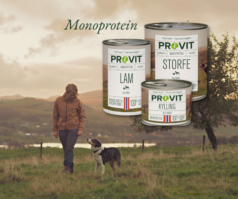 Provit Storfe 800g Gobiten Boksemat
