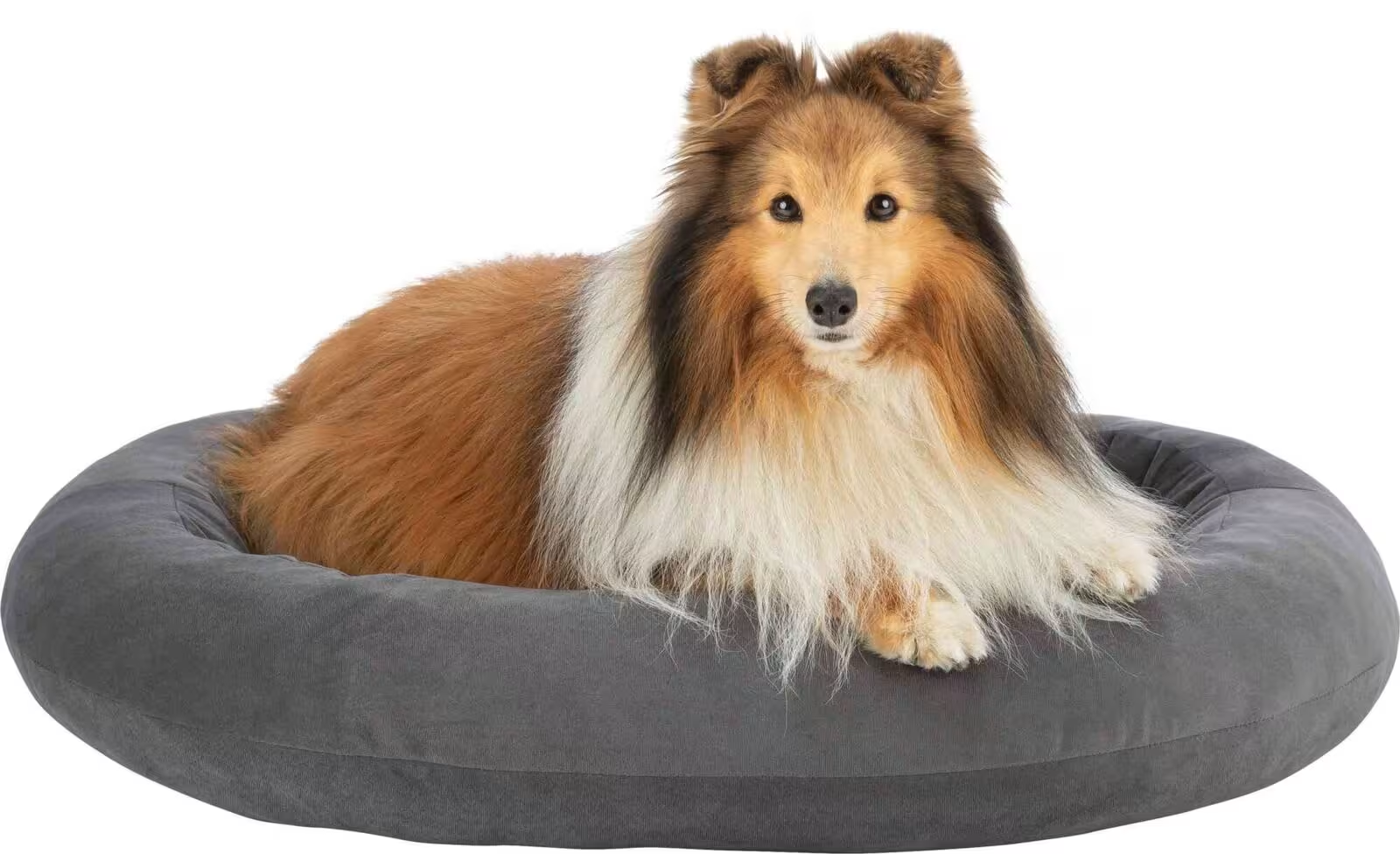 Hundeseng Talia 80x65cm Mørkegrå