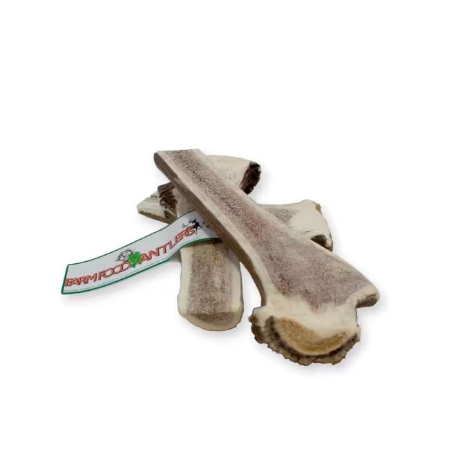 Farm Food Antlers Hjorte Gevir Easy