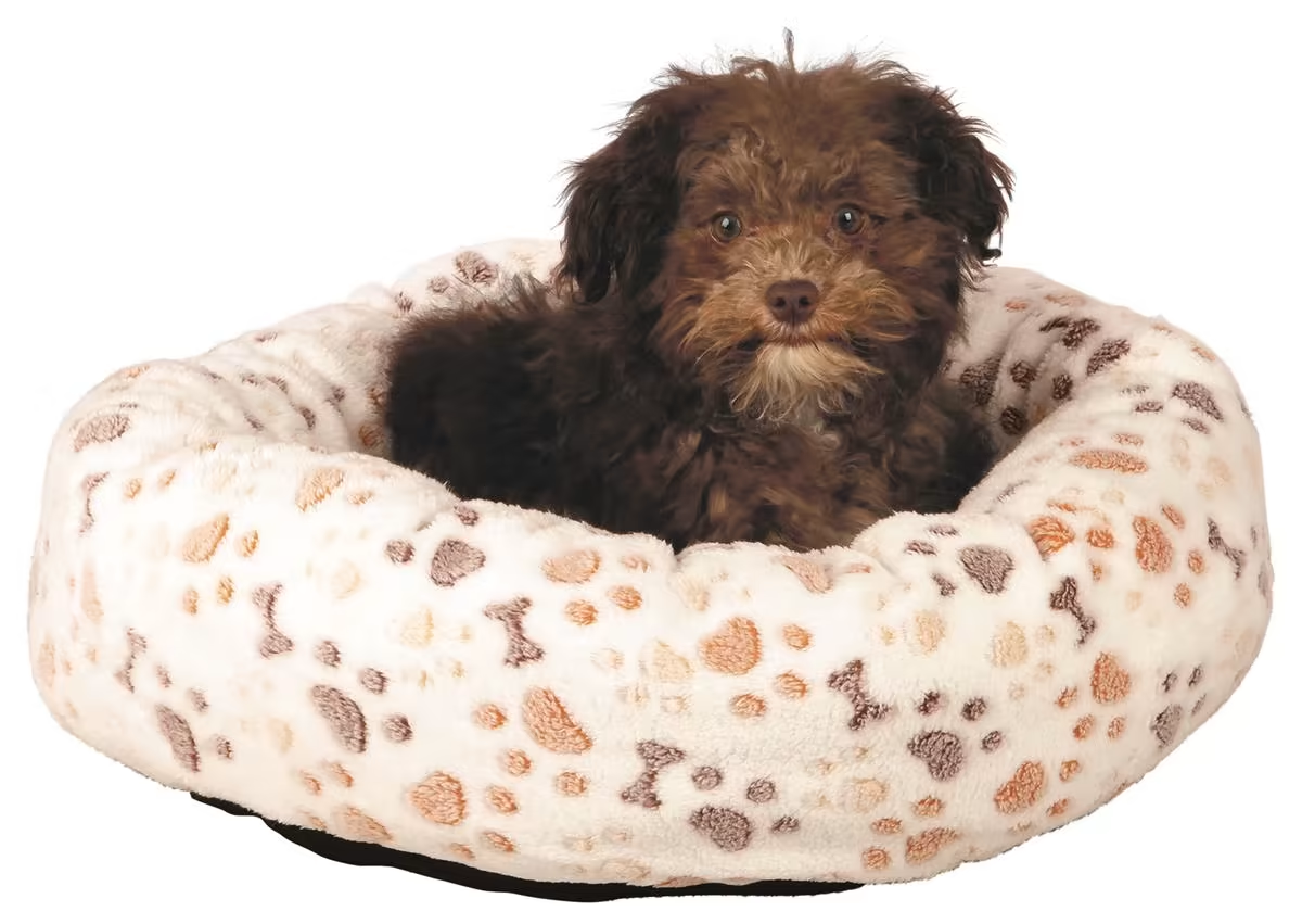 Hunde/Katteseng Lingo Hvit/Beige M/Poter 50cm