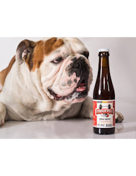 Snuffle Hundeøl 25cl M/Biff-Smak Glassflaske