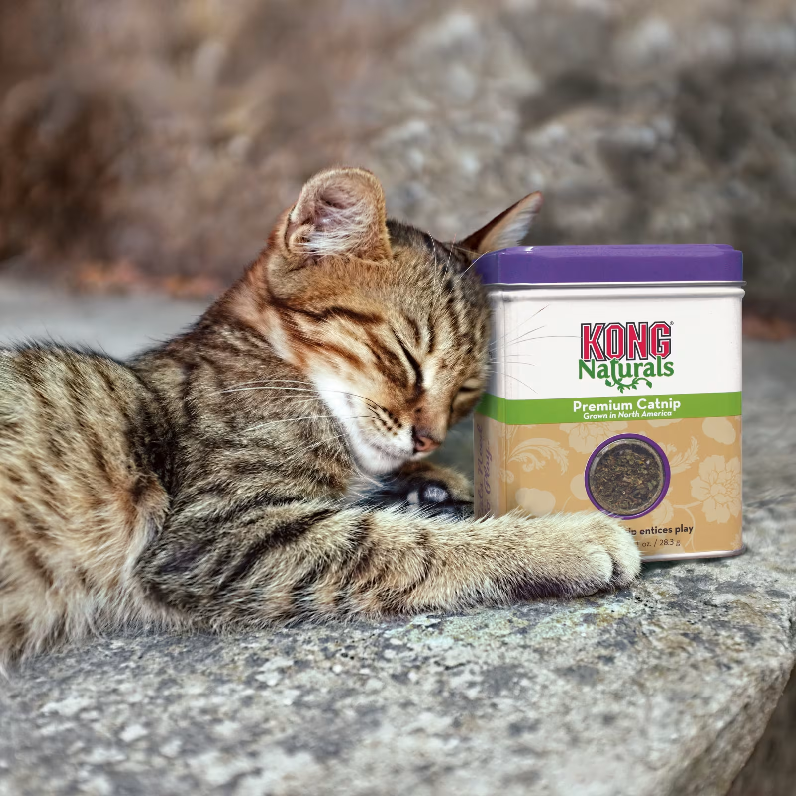 KONG Naturals Catnip 28g