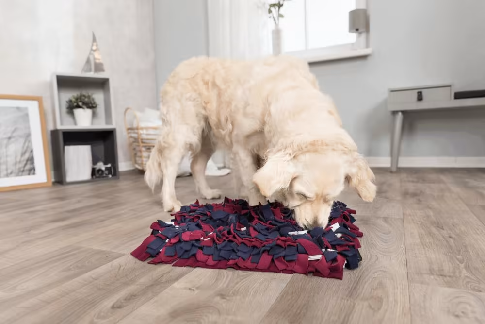 Trixie Snuseteppe - Dog Activity Sniffing Carpet 50x34cm Level 1