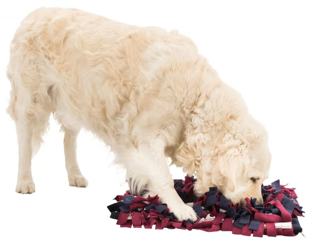 Trixie Snuseteppe - Dog Activity Sniffing Carpet 50x34cm Level 1