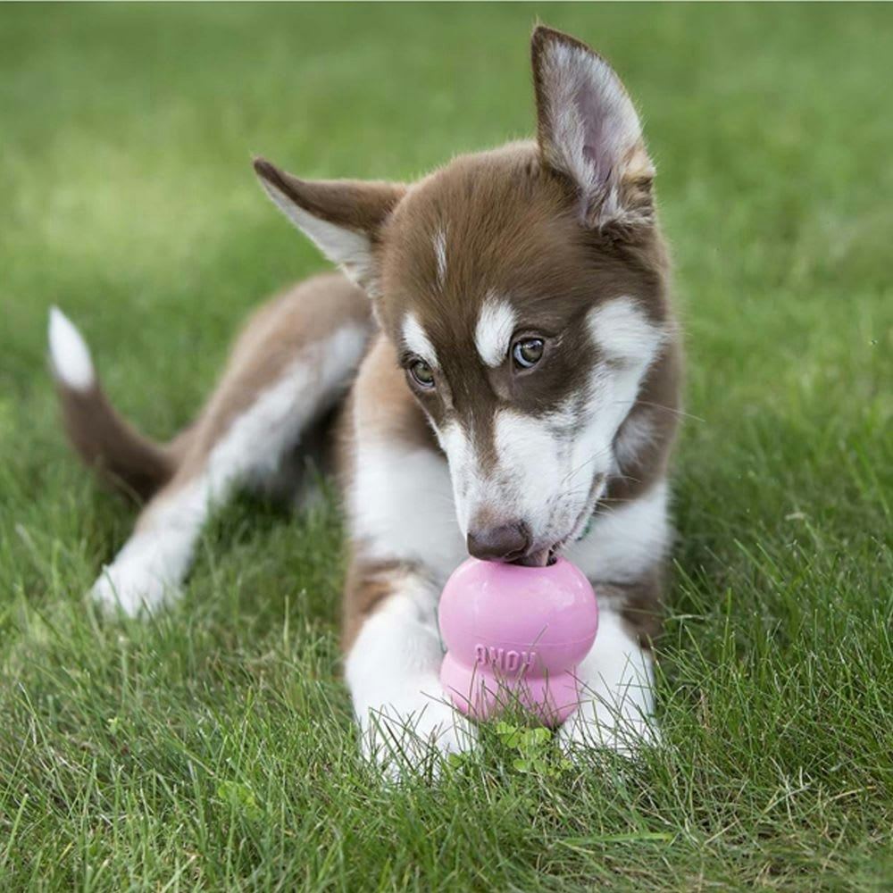 KONG Easy Treat Stuff`n Puppy M/Kyllinglever