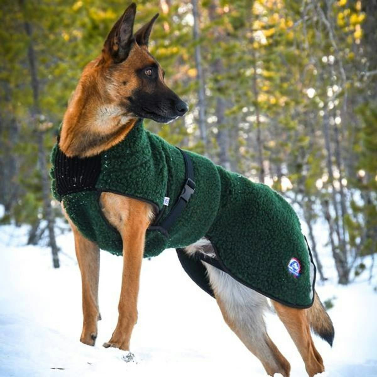 Canelana Selva ulldekken hund - Bestillingsvare!