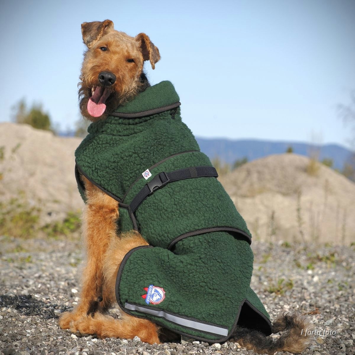 Canelana Selva ulldekken hund - Bestillingsvare!
