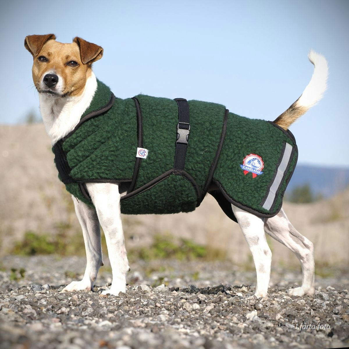 Canelana Selva ulldekken hund - Bestillingsvare!