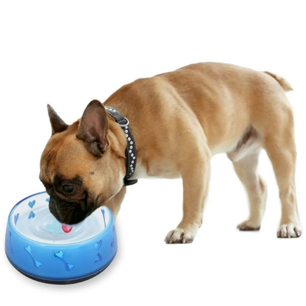All for paws afp skåler med hjerter og bein