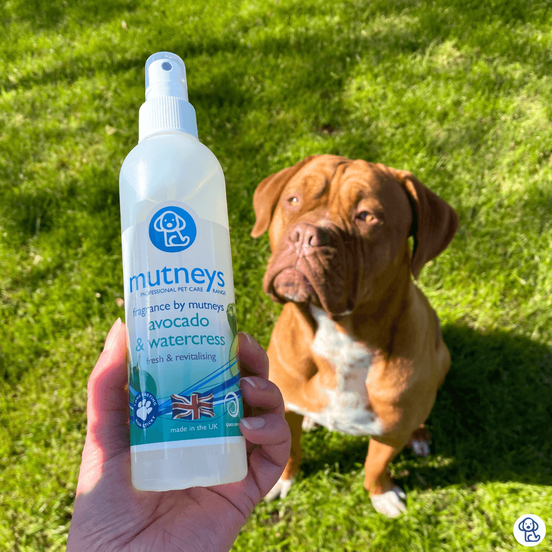Mutneys Avocado & Watercress Fragrence 50 ml
