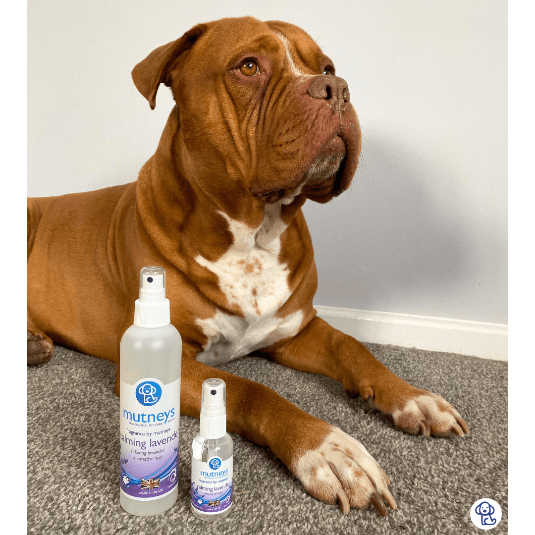 Mutneys Calming Lavendel Fragrence 50 ml