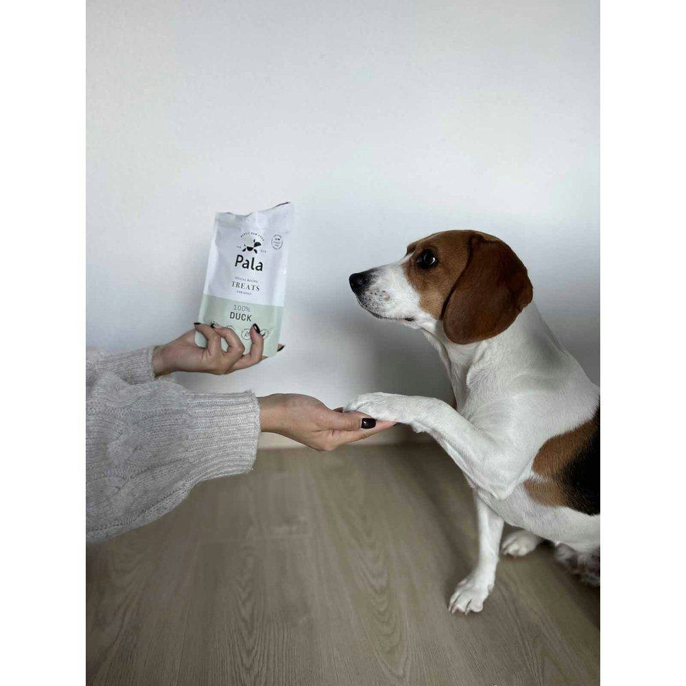 Pala Treats 100% And 100g