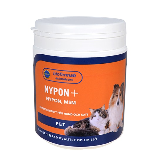 Biofarmab Nypon+