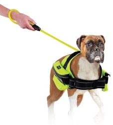 afp Reflective Leash 1,2 m All for paws