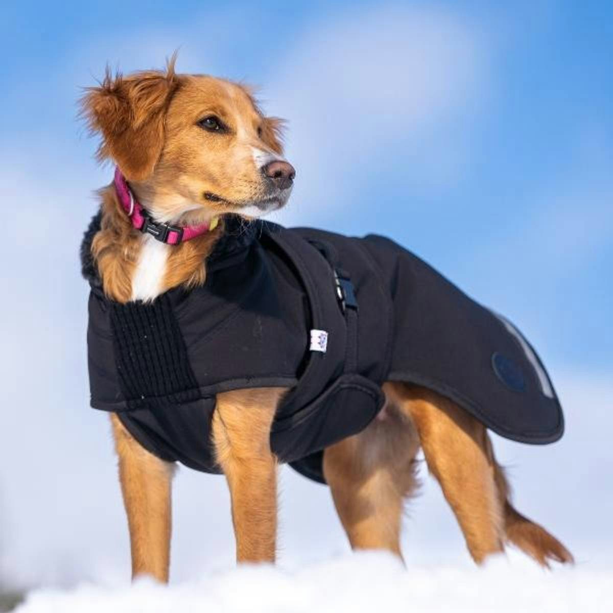 Canelana Thermo sort-100% ull dekken hund softshell ytterstoff - Bestillingsvare!