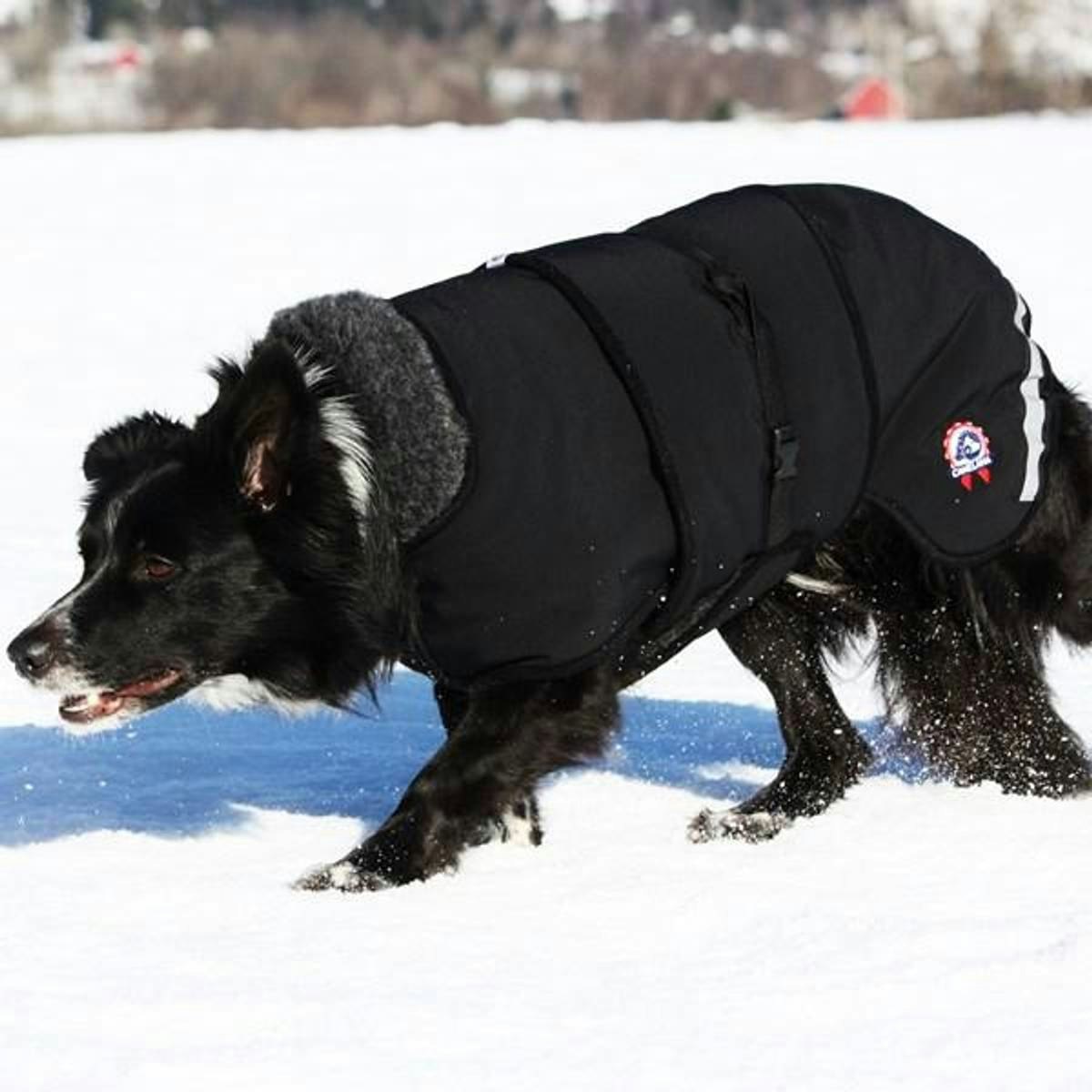 Canelana Thermo sort-100% ull dekken hund softshell ytterstoff - Bestillingsvare!