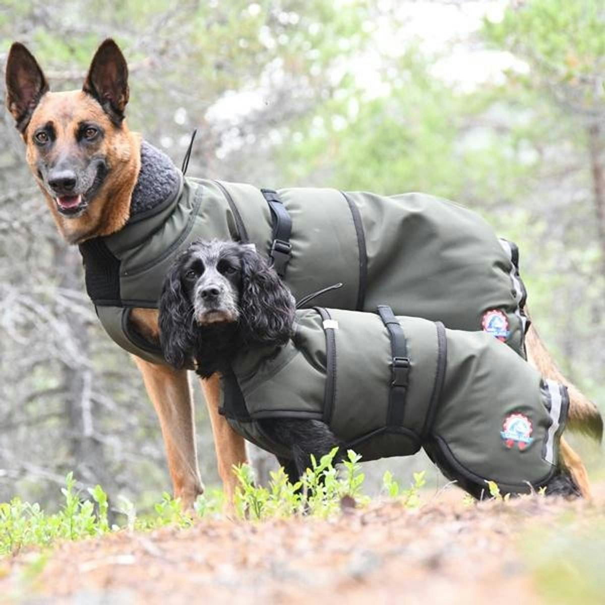 Canelana Thermo grønn-100% ull dekken hund softshell ytterstoff - Bestillingsvare!