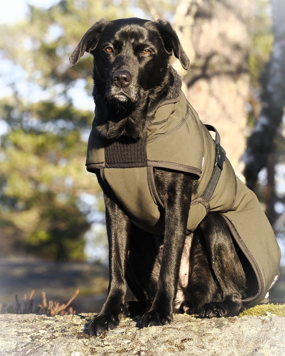 Canelana Thermo grønn-100% ull dekken hund softshell ytterstoff - Bestillingsvare!