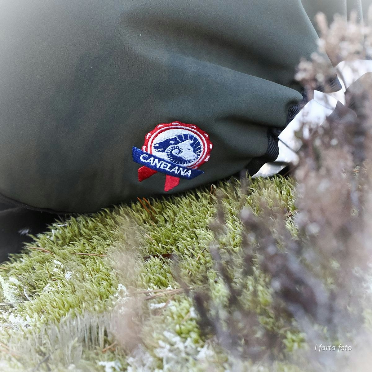 Canelana Thermo grønn-100% ull dekken hund softshell ytterstoff - Bestillingsvare!