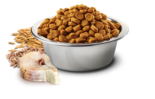 Farmina N&D Dog Ocean Cod, Spelt, Oats & Orange Adult Mini 7kg - Datovare - før: 1249,-