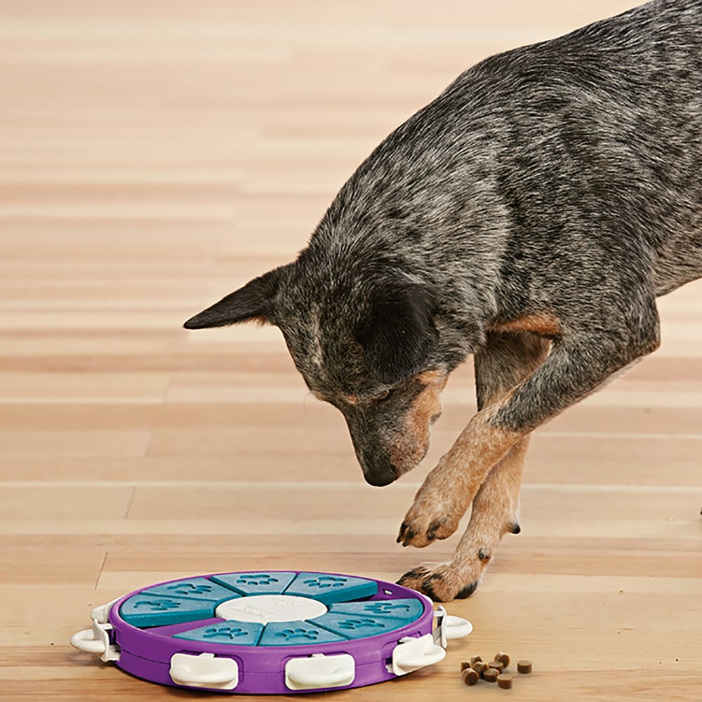 Nina Ottosson Dog Twister Plast