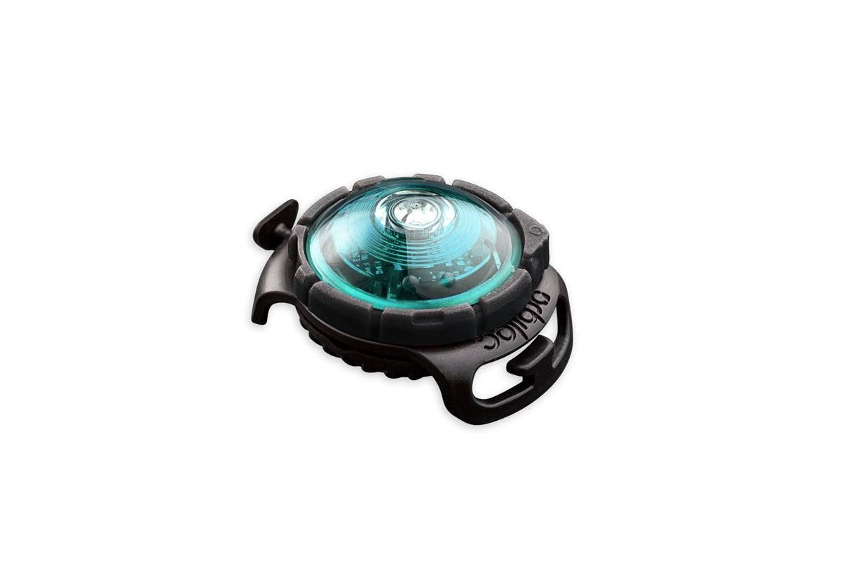 Orbiloc Dog Dual