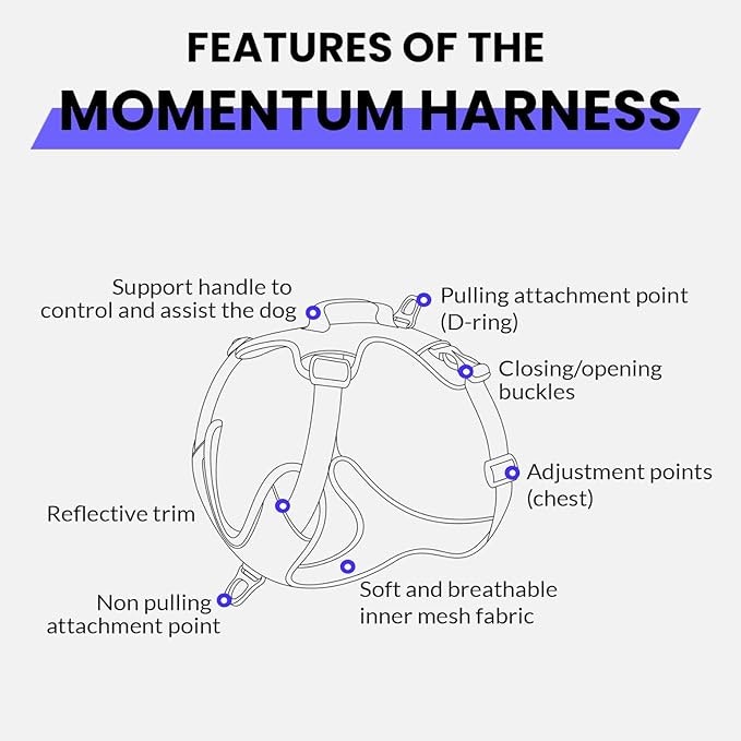 Kyflie Momentum XS Sele & Kobbel pakke - TILBUD