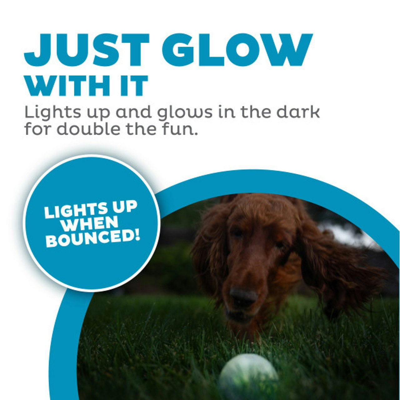 Planet Dog Strobe Ball Hvit med multifarget LED lys
