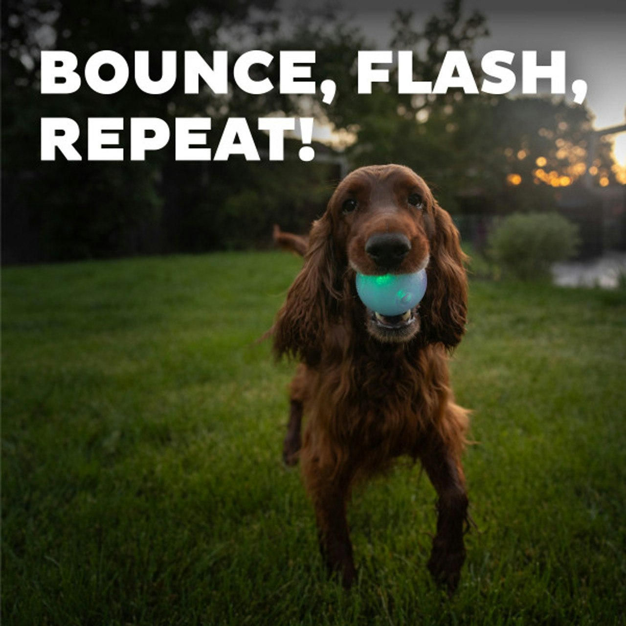Planet Dog Strobe Ball Hvit med multifarget LED lys