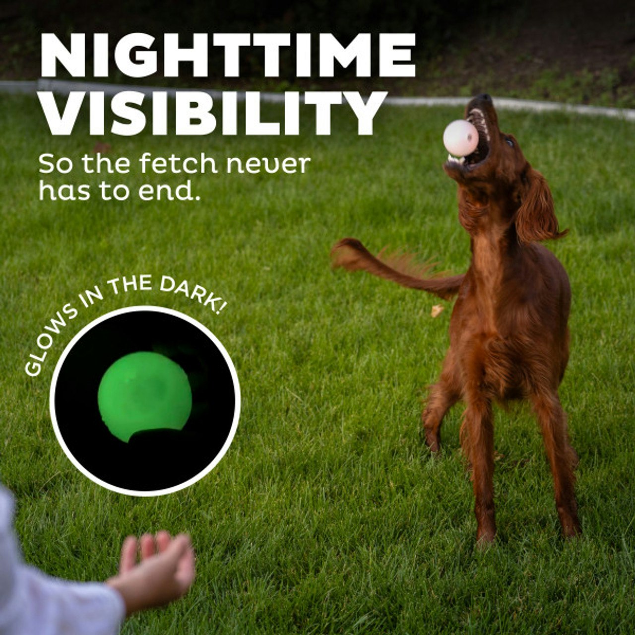Planet Dog Strobe Ball Hvit med multifarget LED lys