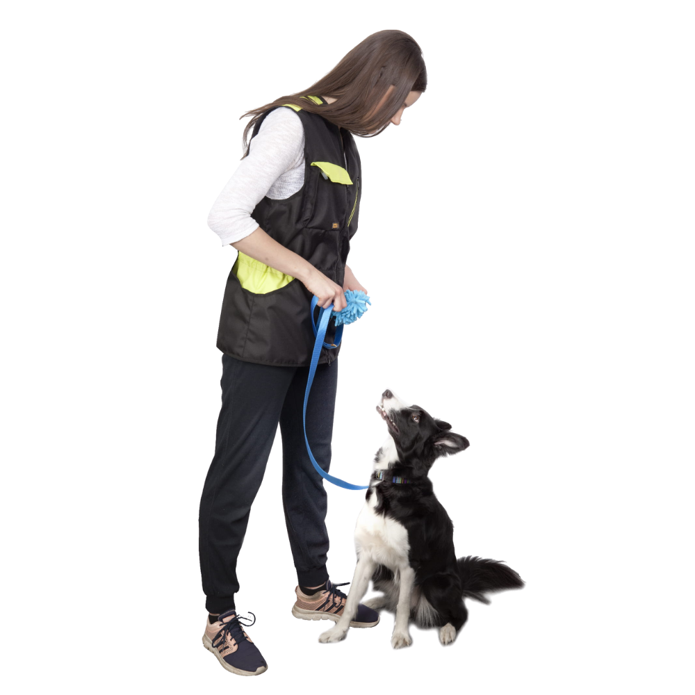 Dingo Agilitykobbel med mopp 20mmx160cm blå