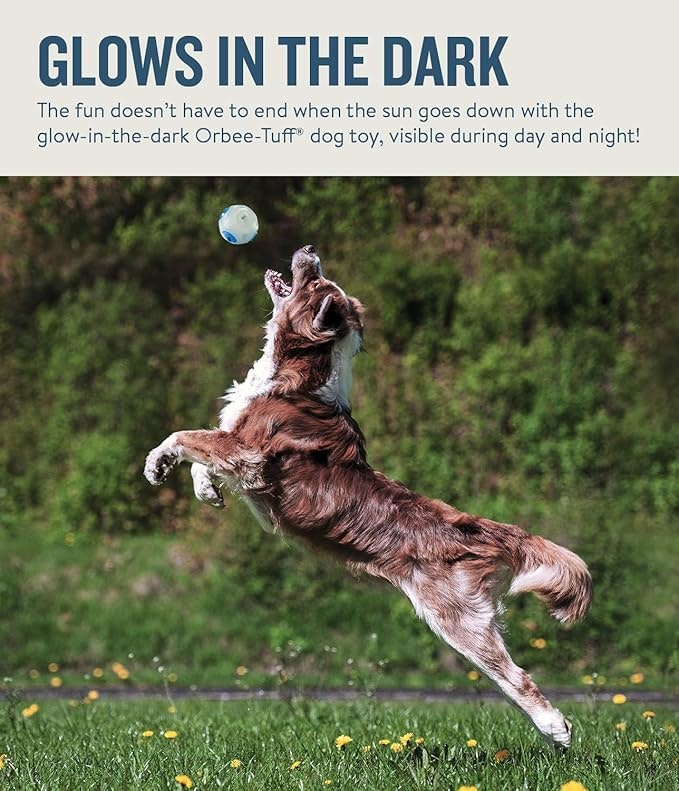 Planet Dog Whistle Ball Ball Glow in the Dark