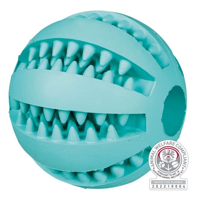 Trixie Dentafun Ball M/Mint