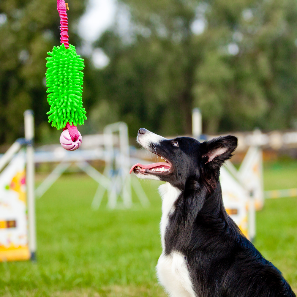 Dingo Draleke m/strikk, mopp og ball ca 49 cm