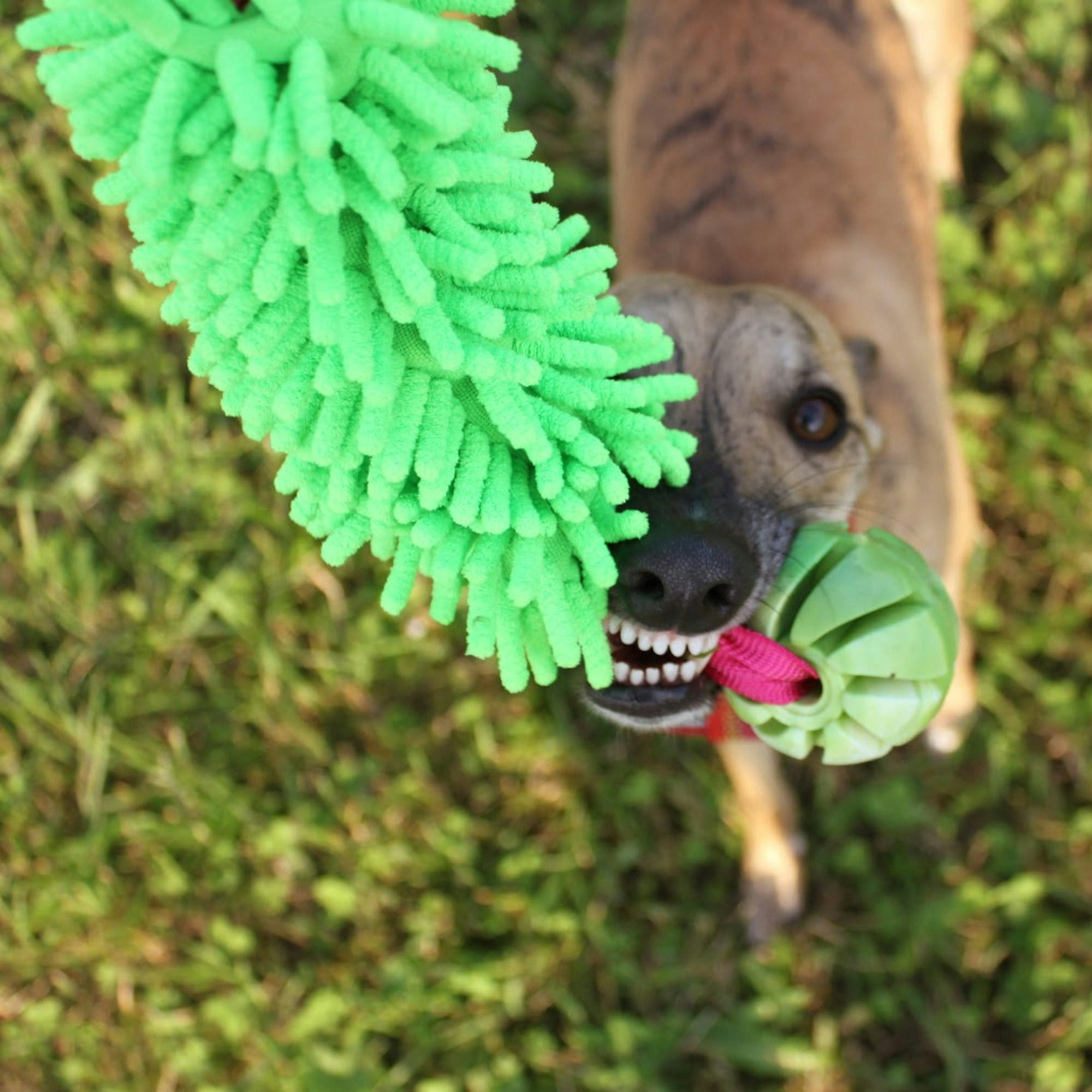 Dingo Draleke m/strikk, mopp og ball ca 49 cm