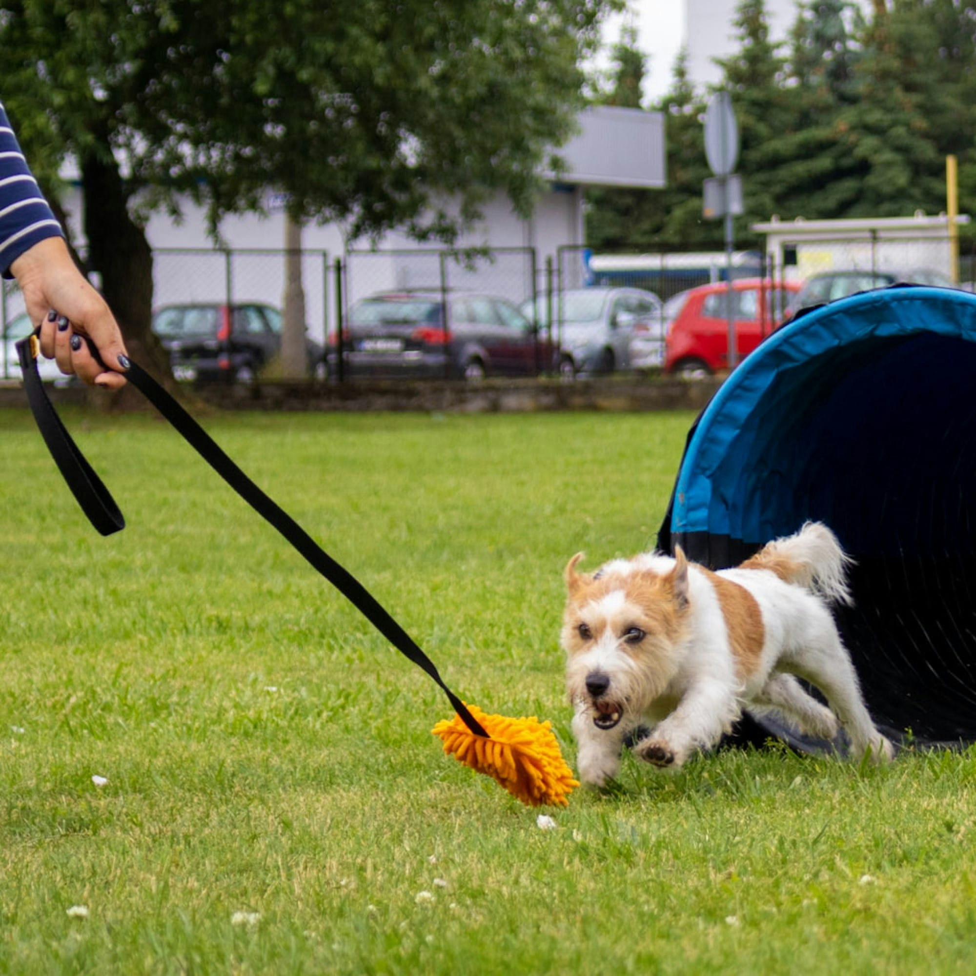 Dingo Moppleke med langt håndtak ca 130 cm