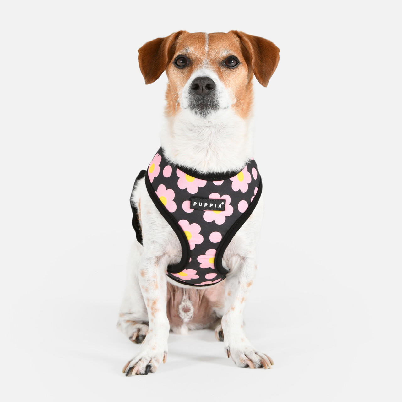 Puppia Bacopas Harness A Sort