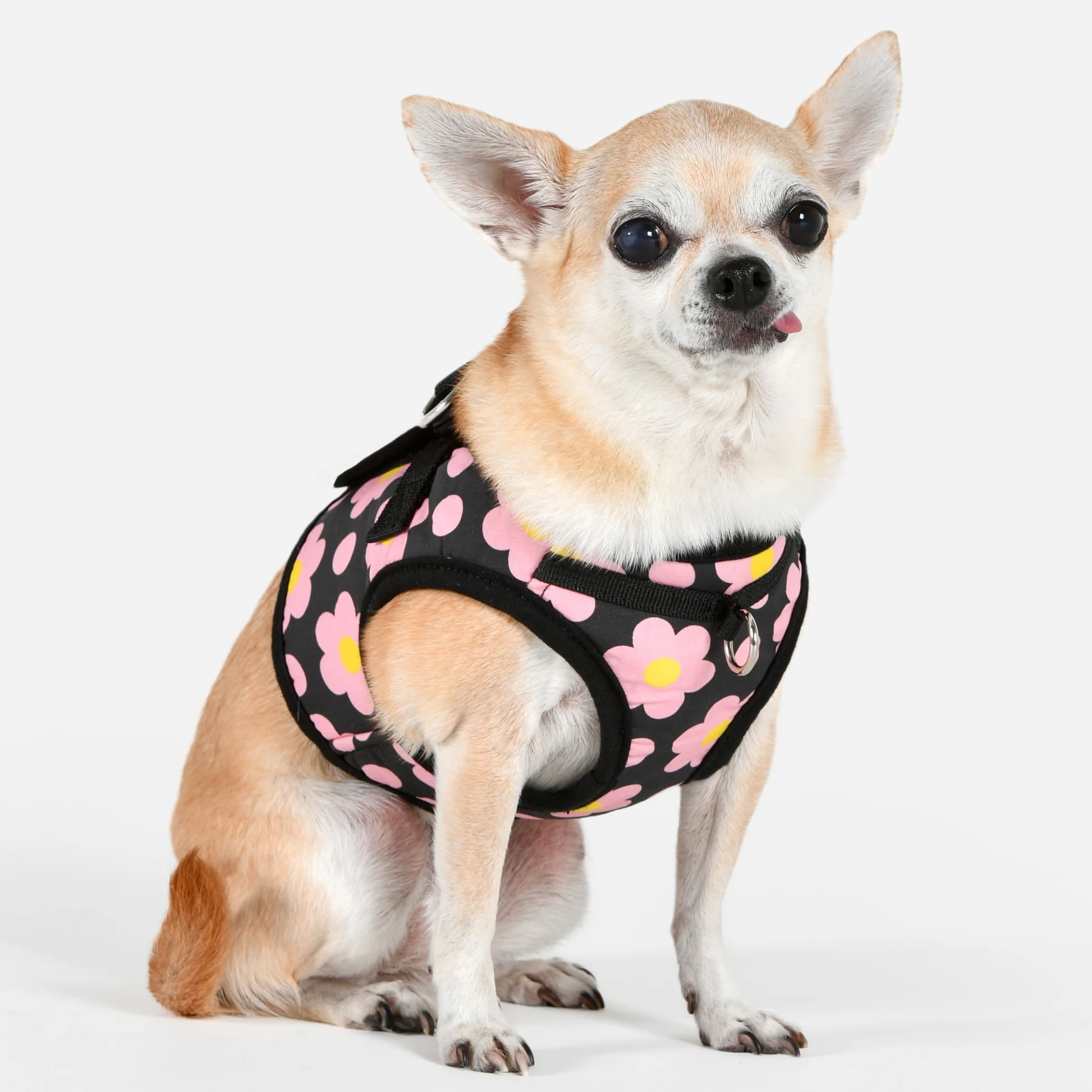 Puppia Bacopas Harness A Sort