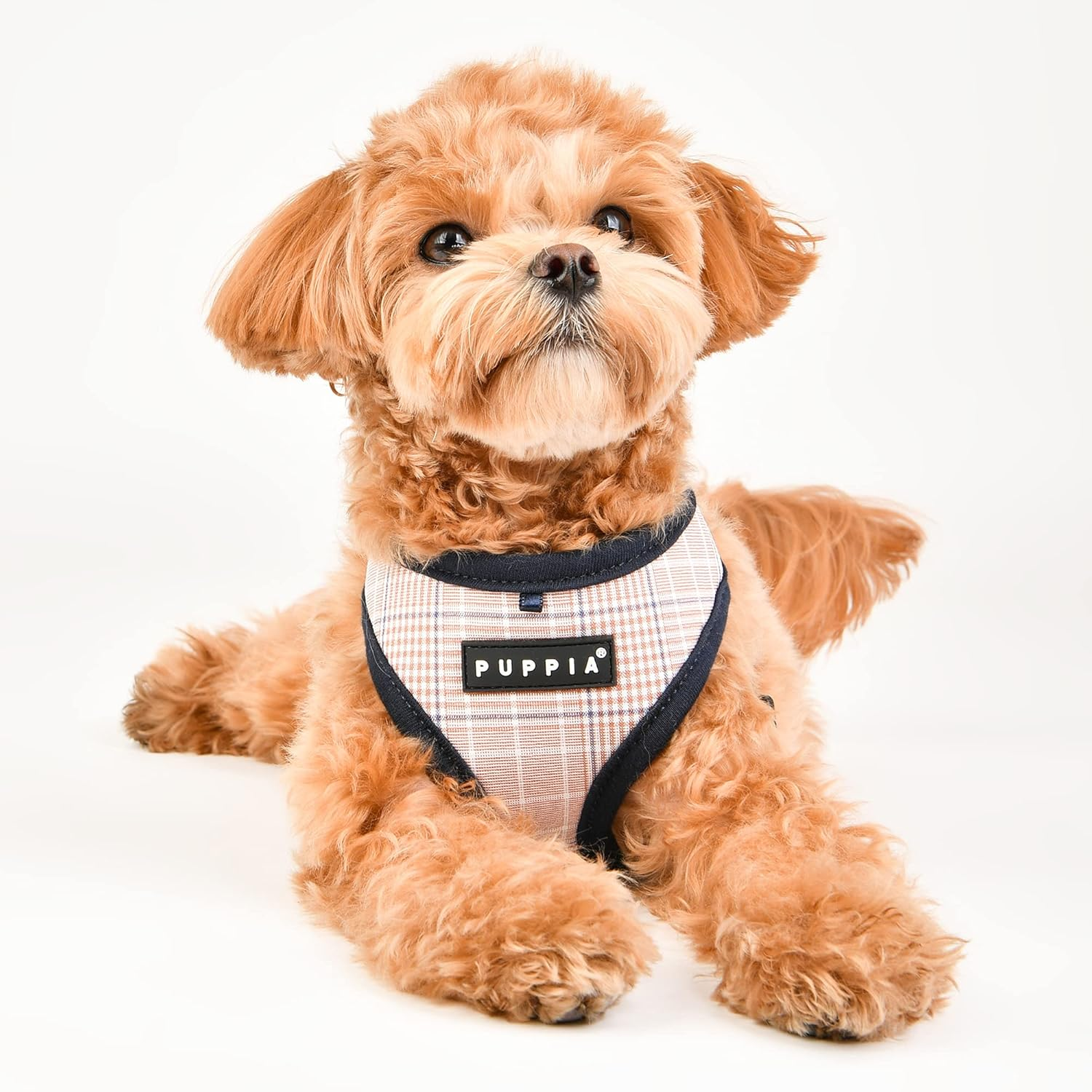 Puppia Blake Harness A blå