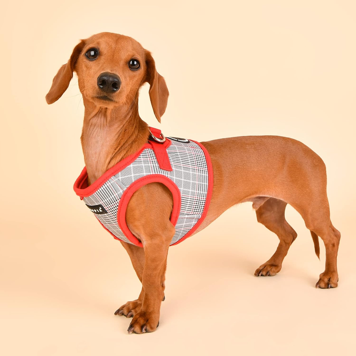 Puppia Blake Harness B blå & rød