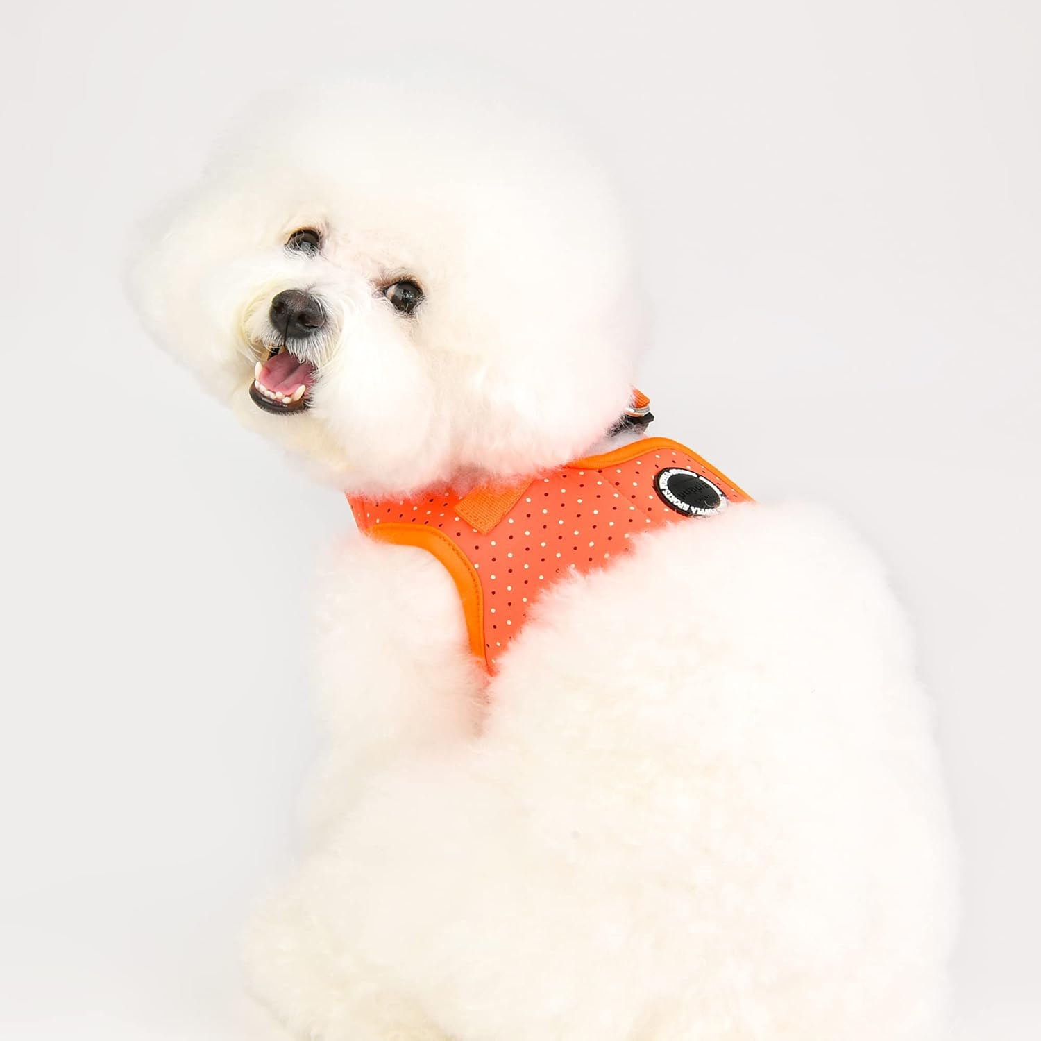 Puppia Bonnie Harness B orange