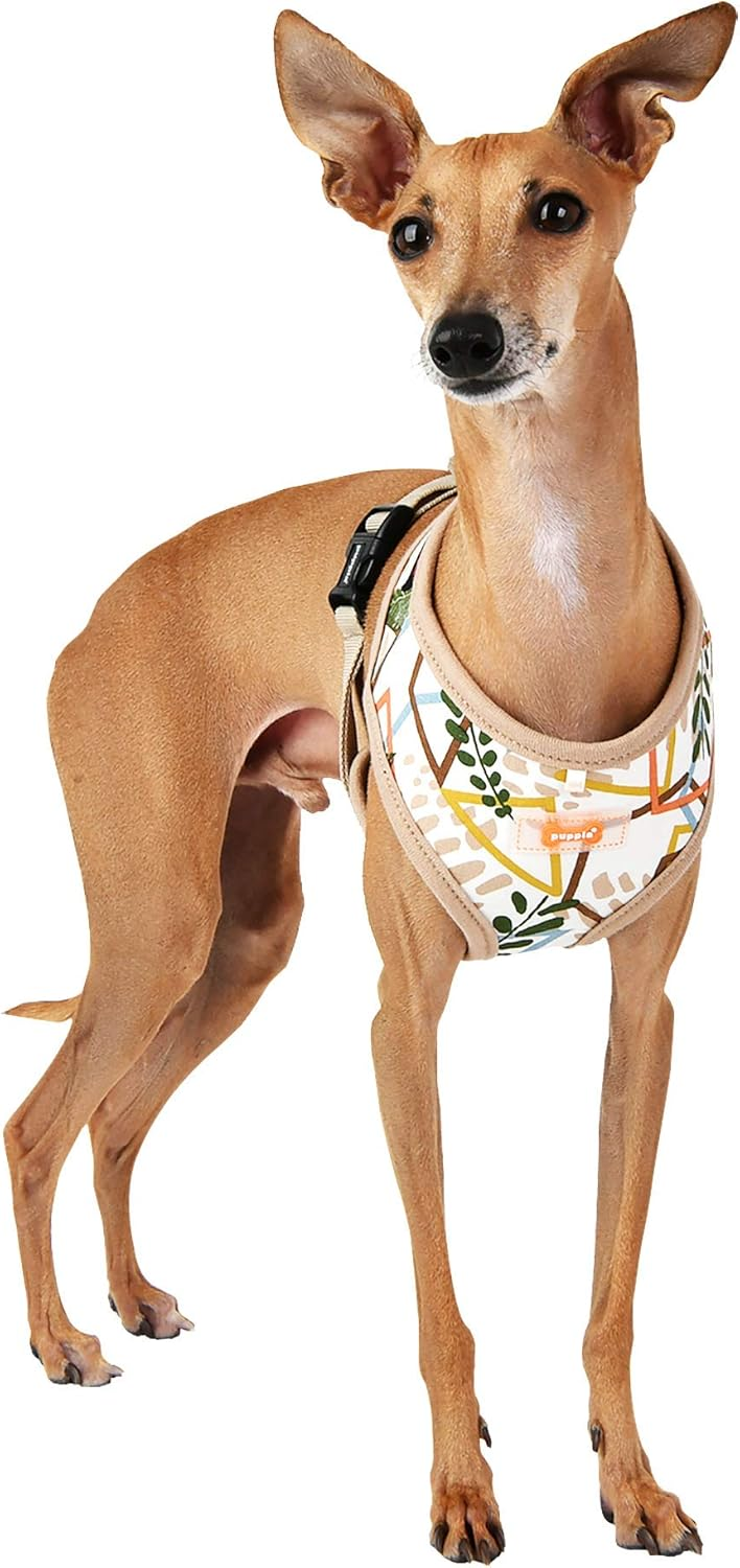 Puppia Botanical Harness A Beige